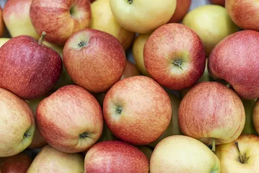 Apples